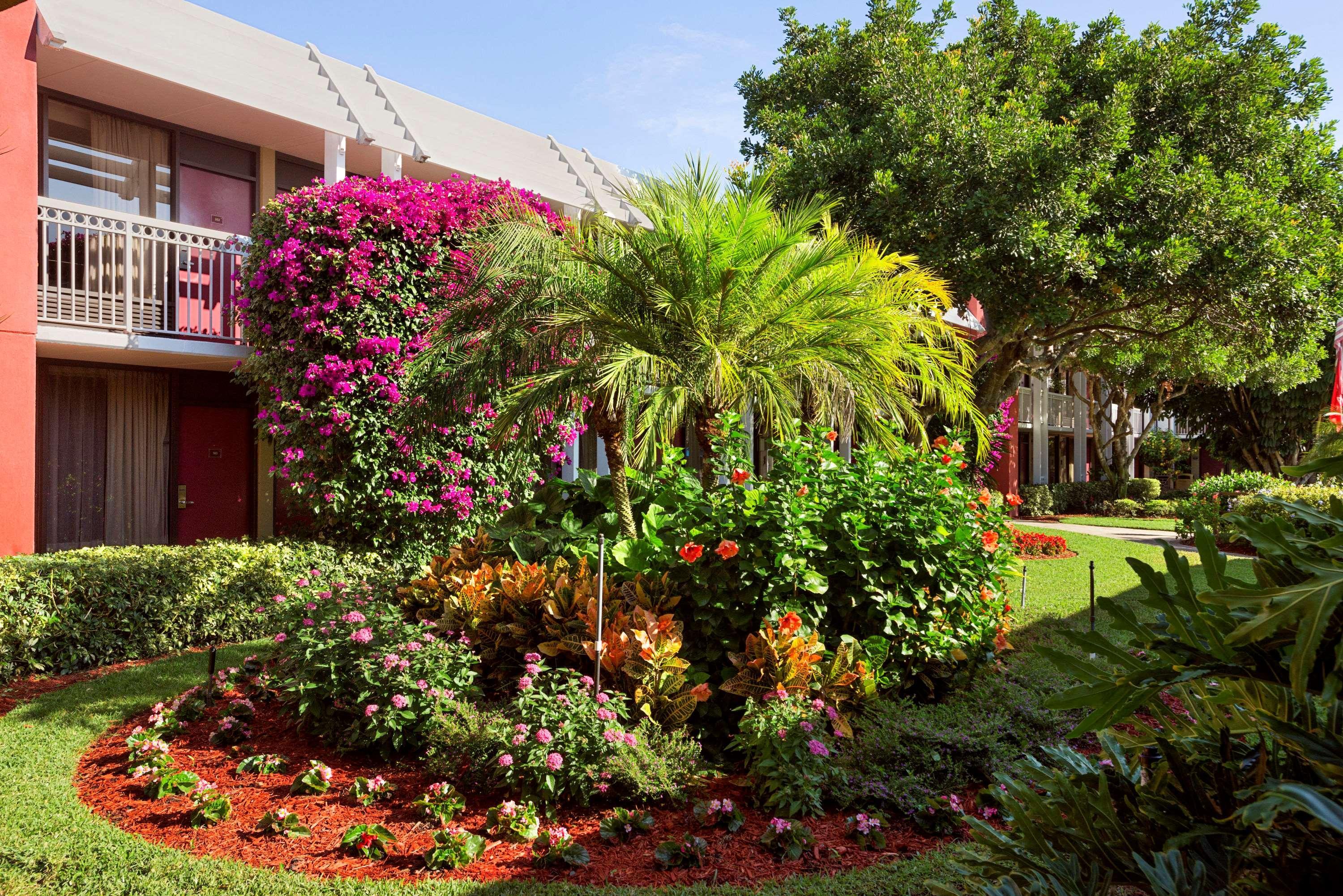 Collins Hotel North Naples Εξωτερικό φωτογραφία