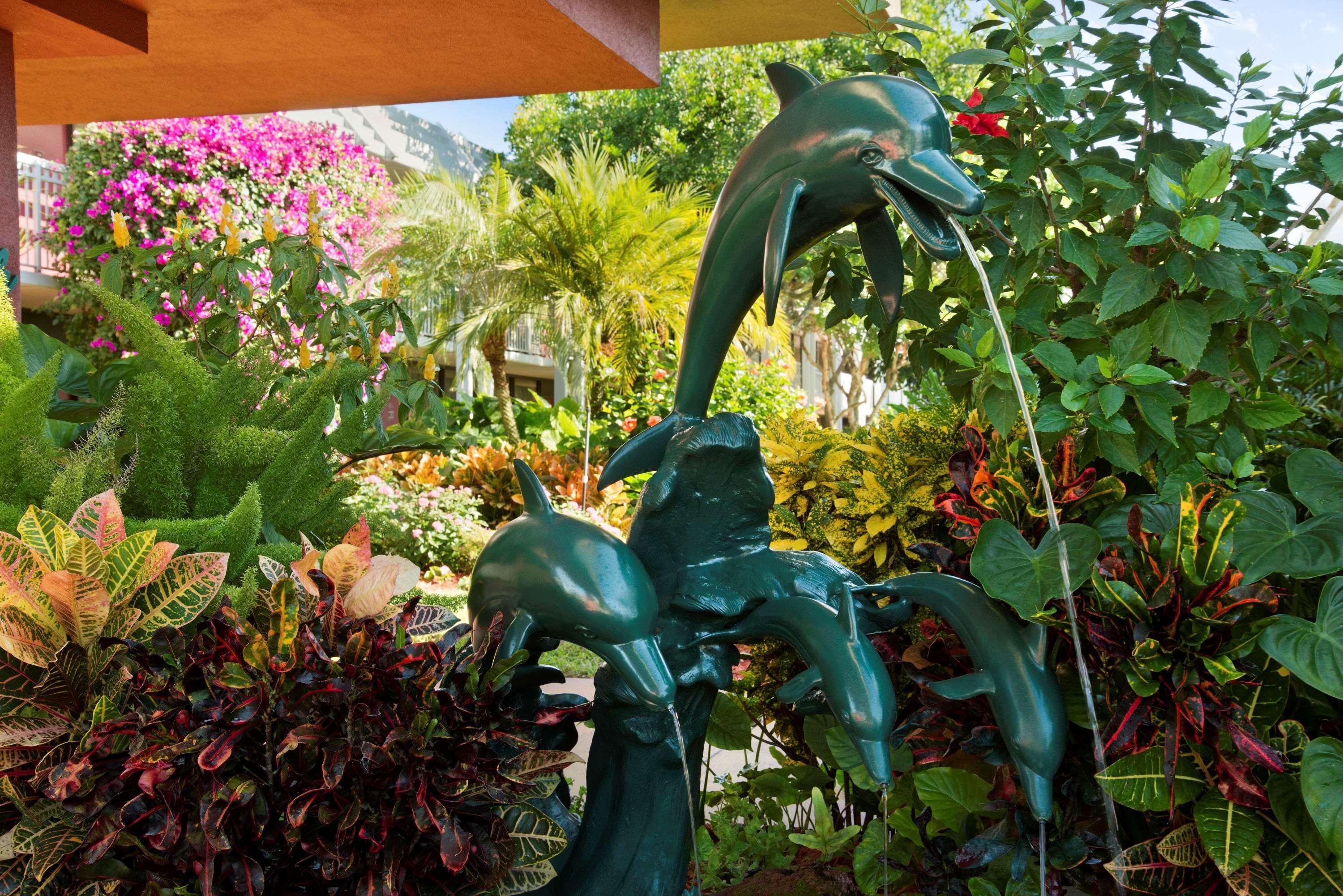Collins Hotel North Naples Εξωτερικό φωτογραφία