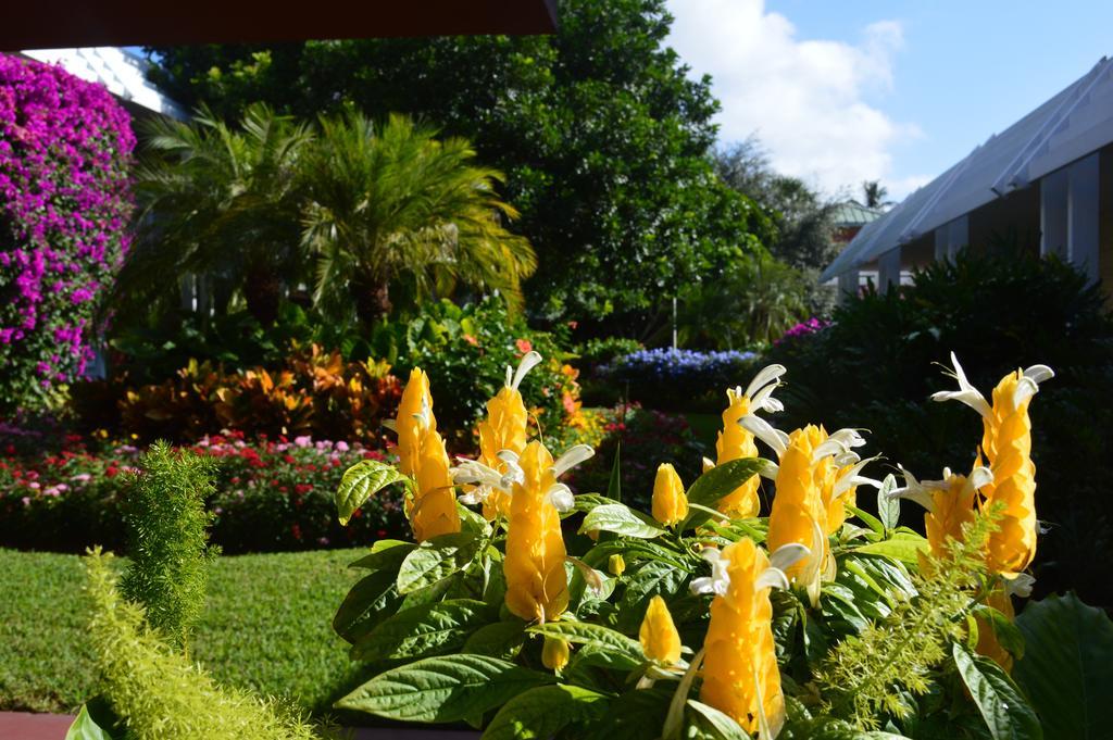 Collins Hotel North Naples Εξωτερικό φωτογραφία