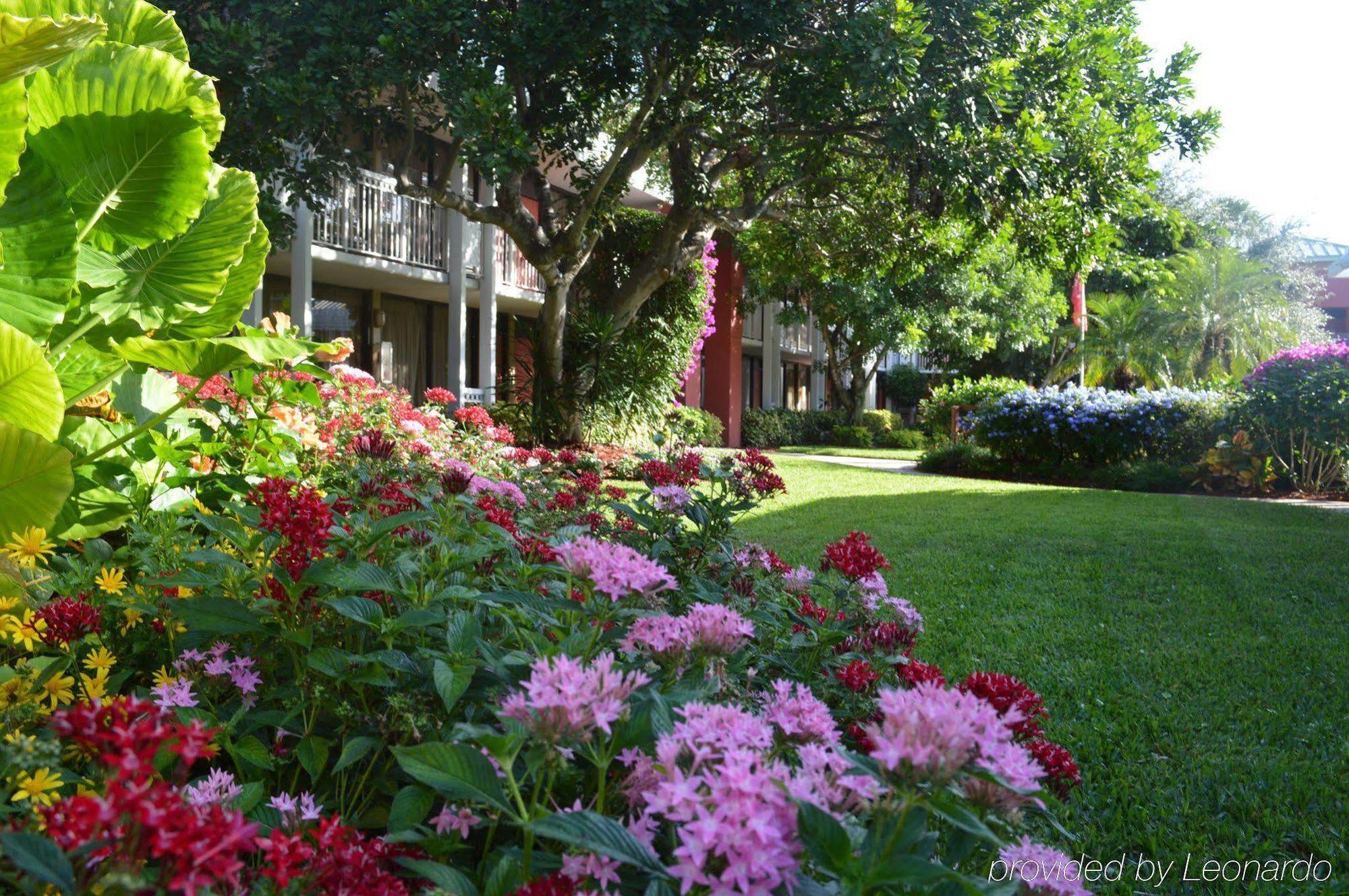 Collins Hotel North Naples Εξωτερικό φωτογραφία